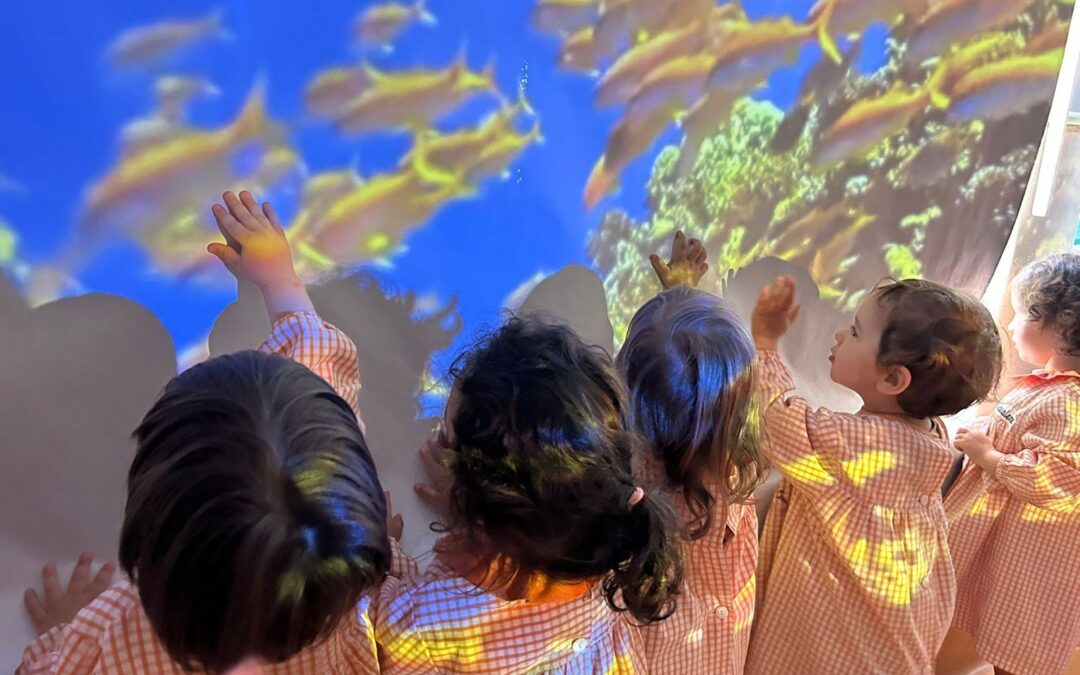 Dia Mundial dos Oceanos: aprender a proteger desde cedo